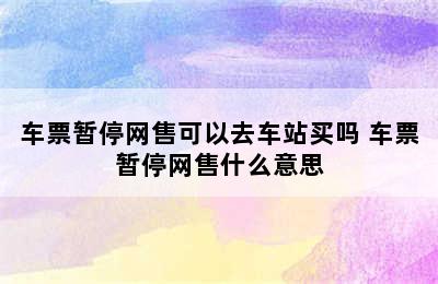 车票暂停网售可以去车站买吗 车票暂停网售什么意思